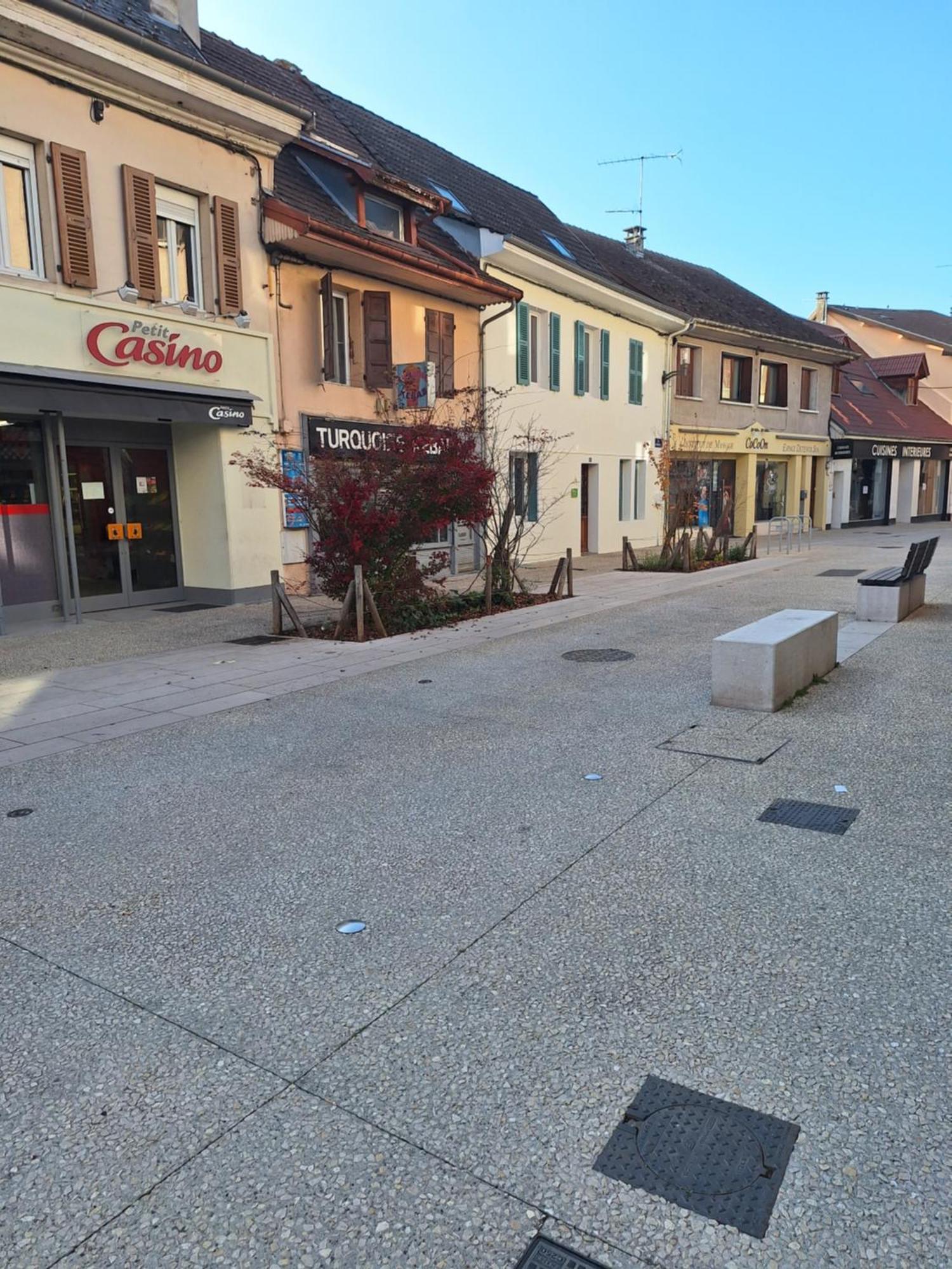 Chez Manon - Le Cocon Zen Appartement Rumilly (Haute-Savoie)